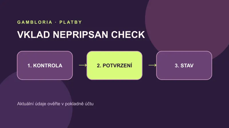 Kontrola nepřipsaného vkladu